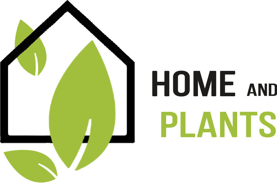 Home and Plants